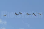 Rutan Long-EZ N78LC 