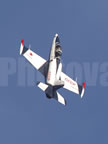 Aero L-39 Albatros N9YC