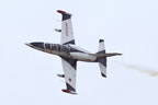 Aero L-39 Albatros N9YC