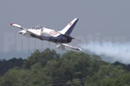 Aero L-39 Albatros N9YC