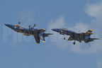 McDonnell Douglas F/A-18C Hornet BLUEANGELS 