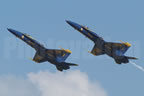 McDonnell Douglas F/A-18C Hornet BLUEANGELS 