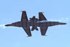 McDonnell Douglas F/A-18C Hornet BLUEANGELS 
