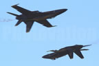 McDonnell Douglas F/A-18C Hornet BLUEANGELS 