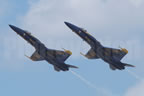 McDonnell Douglas F/A-18C Hornet BLUEANGELS 