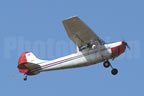 Cessna 0-1D Bird Dog (305A) N305A