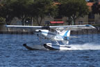 Maule M-7-235B Super Rocket N42695 