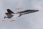 McDonnell Douglas F/A-18 Hornet 188709 