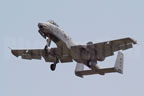 Fairchild A-10 Thunderbolt II - Wart Hog 80223 