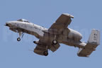 Fairchild A-10 Thunderbolt II - Wart Hog 80223 