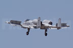 Fairchild A-10 Thunderbolt II - Wart Hog 80223 