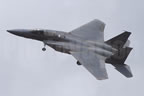 McDonnell Douglas F-15 Eagle 84008 