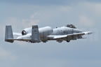 Fairchild A-10 Thunderbolt II - Wart Hog 219 