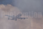 Fairchild A-10 Thunderbolt II - Wart Hog 219 