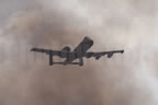 Fairchild A-10 Thunderbolt II - Wart Hog 219 