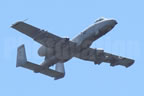 Fairchild A-10 Thunderbolt II - Wart Hog 219 