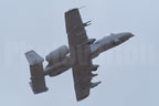 Fairchild A-10 Thunderbolt II - Wart Hog 219 