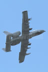 Fairchild A-10 Thunderbolt II - Wart Hog 219 