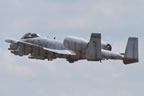 Fairchild A-10 Thunderbolt II - Wart Hog 219 